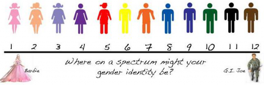 gender spectrum