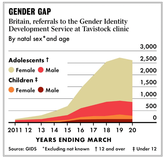 Gender Identity Development in Children 